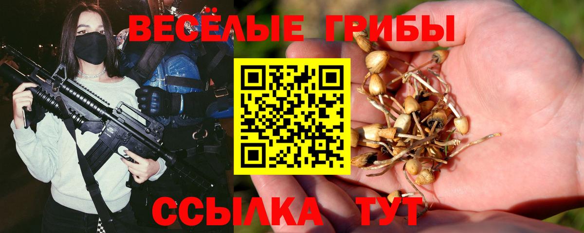 Псилоцибиновые грибы MAGIC MUSHROOMS  Псилоцибиновые грибы MAGIC MUSHROOMS  Черемхово  Вход с VPN 