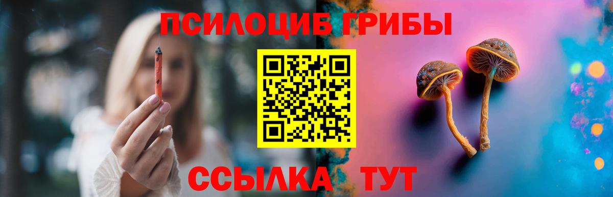 Псилоцибиновые грибы Psilocybine cubensis Черемхово